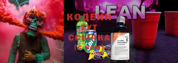 прущие грибы Балахна