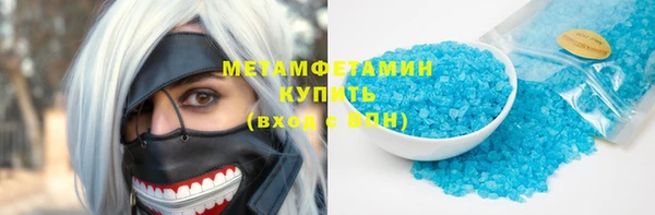 прущие грибы Балахна