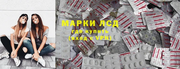 прущие грибы Балахна