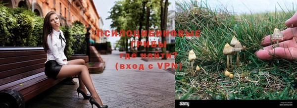 прущие грибы Балахна