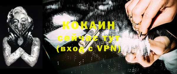 прущие грибы Балахна