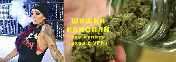 прущие грибы Балахна