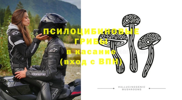 прущие грибы Балахна