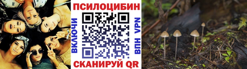 Галлюциногенные грибы GOLDEN TEACHER  Лесной 